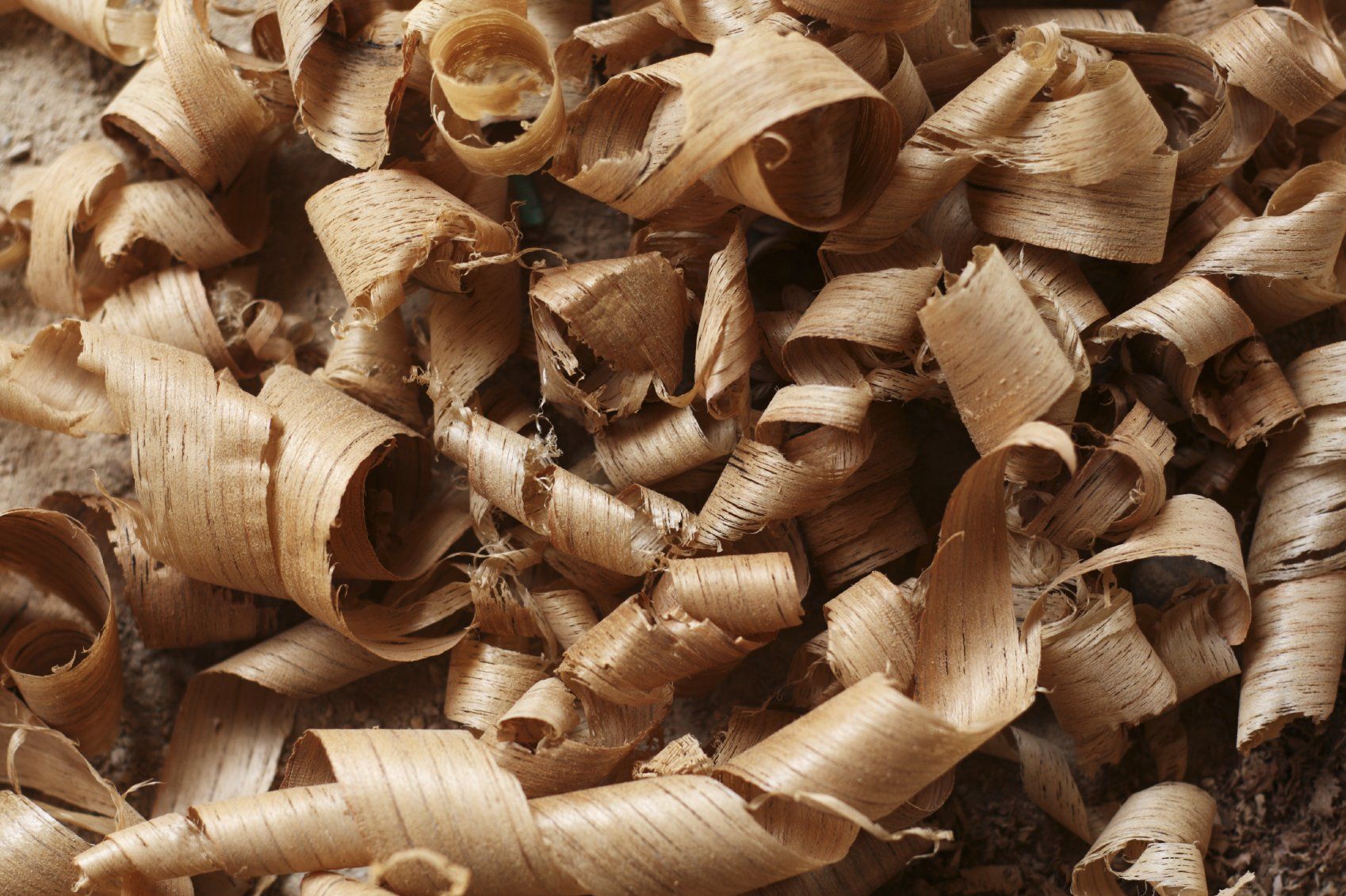Virutas de madera en el suelo